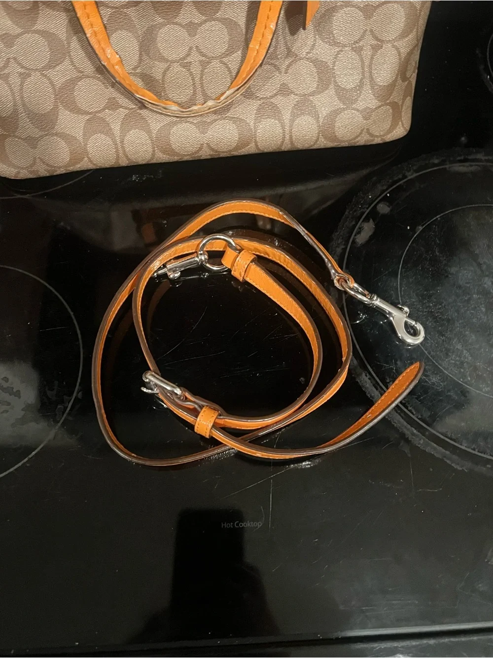 Coach Brown Signature Dome Satchel with Orange Trim